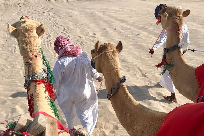 Camel trekking on the Dunes with Sunset - Beyond the camel ride: desert fun, sand play, and a camp vibe