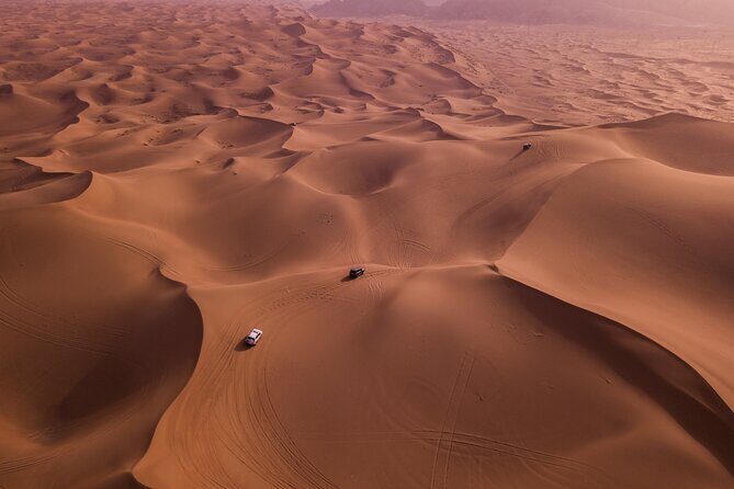 Combo Doha City Tour and Desert Safari - Sealine Beach Desert Safari in a Land Cruiser