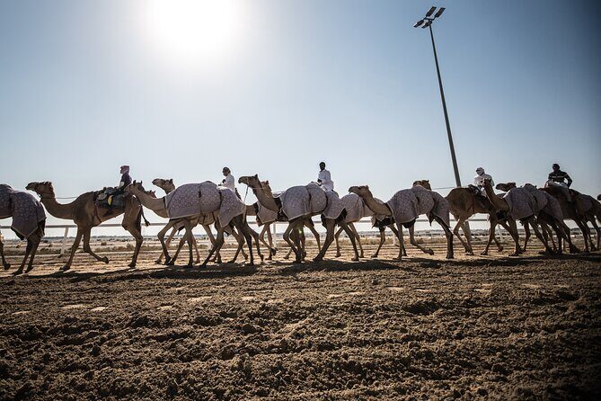 Combo West and North of Qatar Tour - Al Zubara Fort: UNESCO archaeology and Qatar’s trading logic