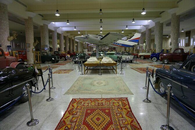 Cultural & Thrills: Sheikh Faisal Museum & Camel Race Adventure - A smart 4-hour mix of sport and collecting in Doha
