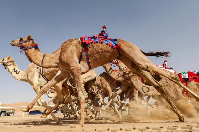 Cultural & Thrills: Sheikh Faisal Museum & Camel Race Adventure - Stop 2: Sheikh Faisal Bin Qassim Al Thani Museum—15 rooms, 15,000+ artifacts