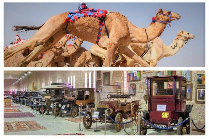 Cultural & Thrills: Sheikh Faisal Museum & Camel Race Adventure - Stop 1: Al-Shahaniya Camel Race Track—where Qatar watches and practices