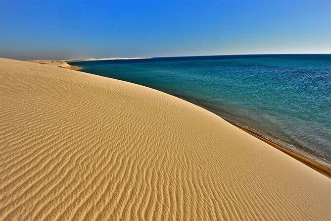 Desert Safari and Inland Sea(Private Tour) - Mesaieed Beach Stop: Falcons, Camel Moments, and a Tea Break