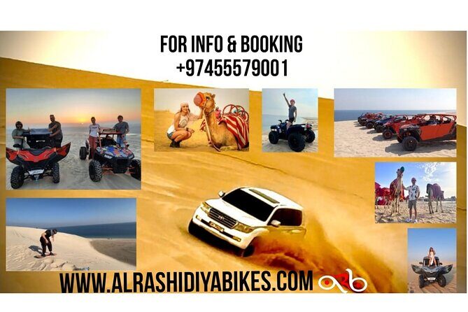 Desert Safari Dune Bashing Camel Ride Sand Surfing Atv or Buggy - Key highlights to know before you go