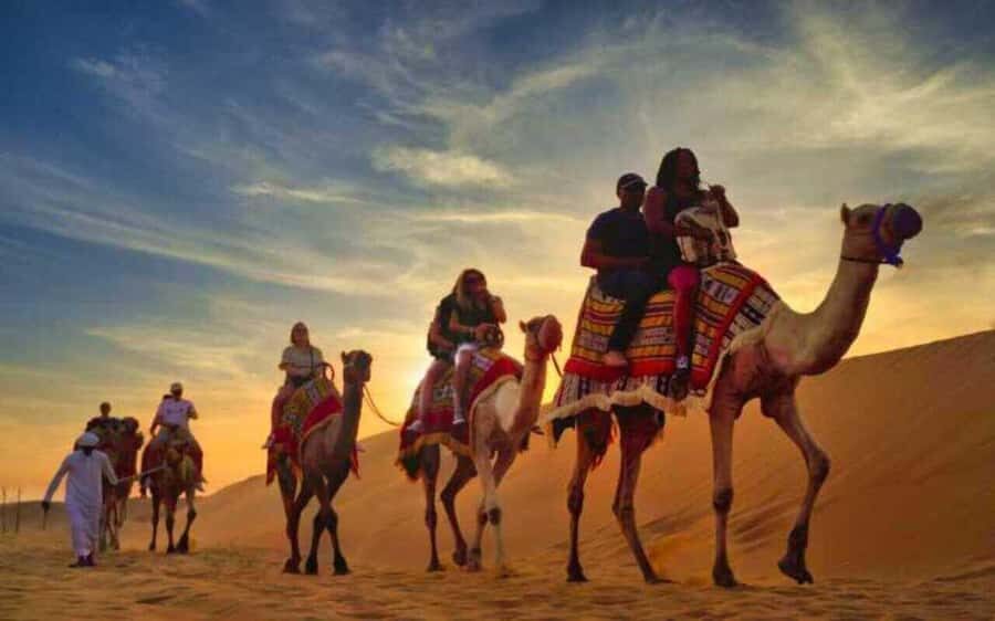 Desert Safari, Dunes Ride, Sand Boarding & Inland Sea Tour - Key points that make this safari worth your time