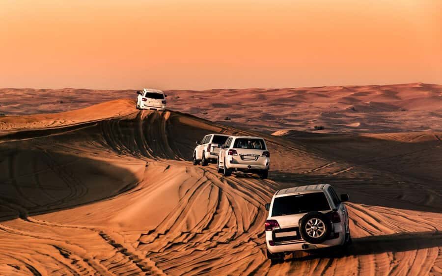 Desert Safari, Dunes Ride, Sand Boarding & Inland Sea Tour - Price and value: $20 isn’t just cheap, it’s structured