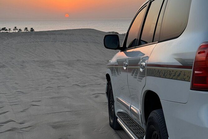 Desert Safari Qatar - What the guide energy adds (Mudabir stands out)