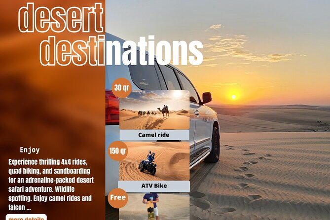 Desert Safari Qatar - Pickup, group size, and the phone ticket: logistics made easier