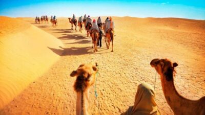 Desert Safari, QuadBike,Dune buggy, Sandboarding & CamelRide - Camel ride: quick, cultural, and surprisingly photogenic