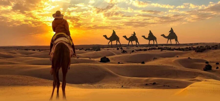 Desert Safari, QuadBike,Dune buggy, Sandboarding & CamelRide - Sandboarding: short run, big satisfaction