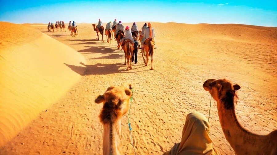 Desert Safari, QuadBike,Dune buggy, Sandboarding & CamelRide - Doha pickup to Mesaieed: the part that sets expectations