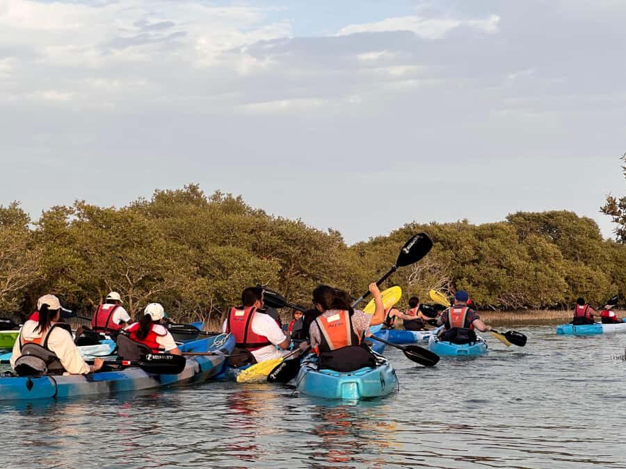 Discover Purple Island | Guided Mangrove Kayaking Experience - Campsite time: tea, hiking, camp activities, and sunset