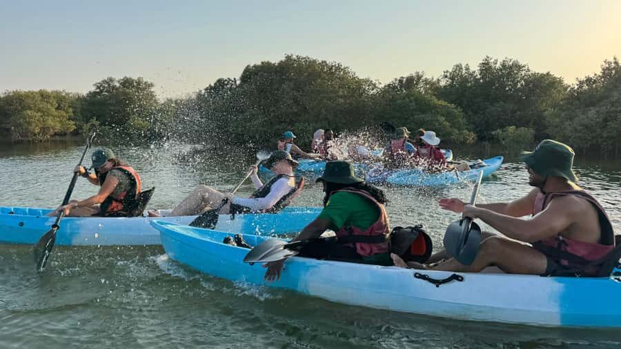 Discover Purple Island | Guided Mangrove Kayaking Experience - Tide timing: the part you should plan around