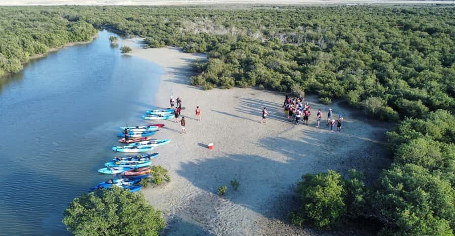 Discover Purple Island | Guided Mangrove Kayaking Experience - Meeting point and getting there without drama