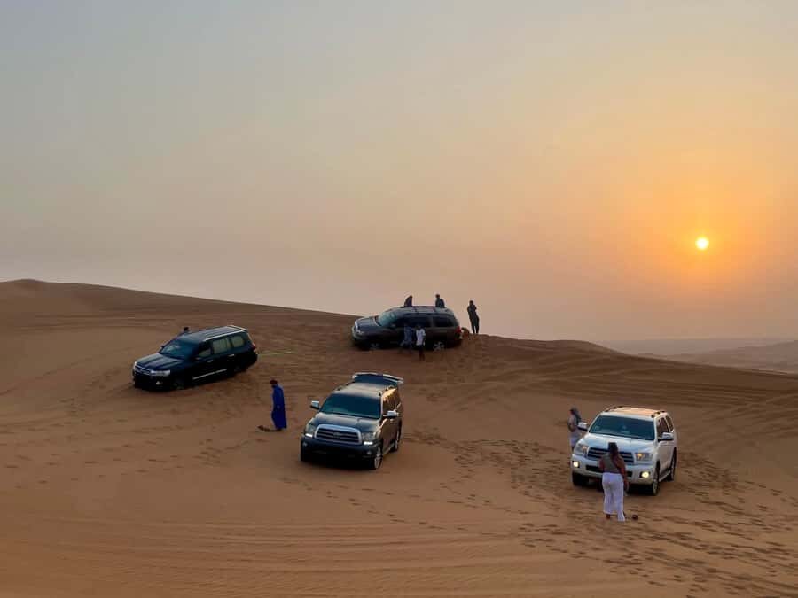 Doha Activities: Desert Safari, Dune Bashing & Inland Sea - Small-group feel and comfort details that matter