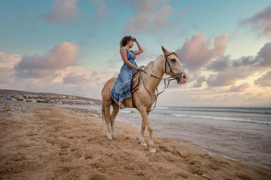 Doha : Arabian Horse Ride Experience With Transfer - Key things to know before you go