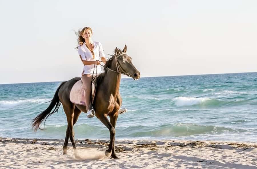 Doha : Arabian Horse Ride Experience With Transfer - Riding in Qatar’s desert: why the 3-hour format works