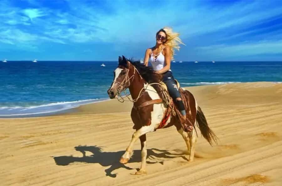Doha : Arabian Horse Ride Experience With Transfer - At the equestrian center: horse matching and safety briefing