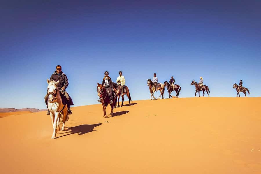 Doha : Arabian Horse Ride Experience With Transfer - Hotel pickup and the transfer toward Sealine and the Inland Sea