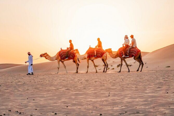 Doha ATV Quad Bike Adventure in the Middle of Desert Qatar - Weather, Timing, and What to Expect From the Day’s Conditions