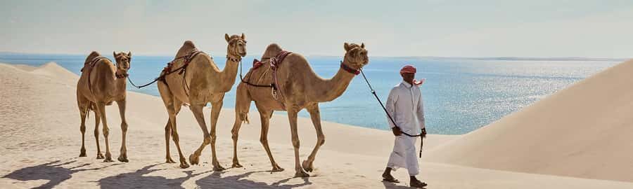 Doha: ATV/Quad, Safari 4x4, Camels, Sandboarding& Inland Sea - Sandboarding: fun physics, one important safety rule