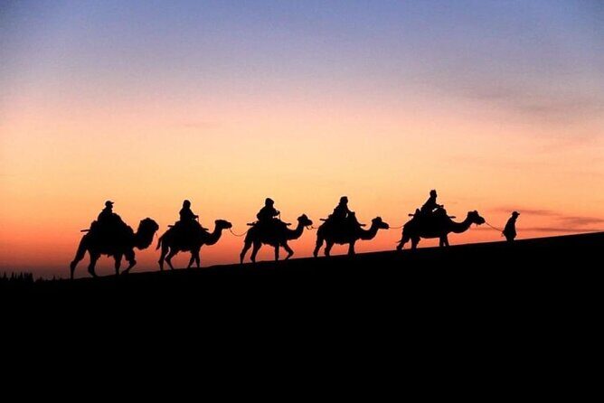 Doha City and Desert Safari Tours (Combo Tour) - Doha city segment: Corniche, Souq Waqif, West Bay, Katara, Pearl, and Lusail