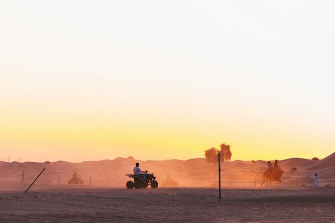 Doha Delights City Tour with Desert Safari and Inland Sea Visit - The desert portion: dune bashing, camel area, and the Inland Sea finale