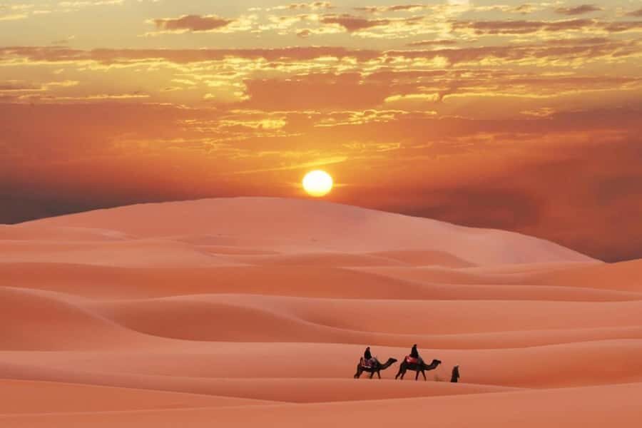 Doha: Desert 4x4, ATV/Quad, Camels, Sandboarding, Inland sea - Key Things You’ll Remember From This Doha Desert Safari