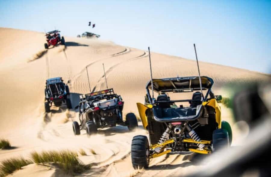Doha: Desert Buggy Ride, Camel Ride, Dune Bashing, Sandboard - Who should book this desert buggy, camel, dune bashing, and sandboarding mix