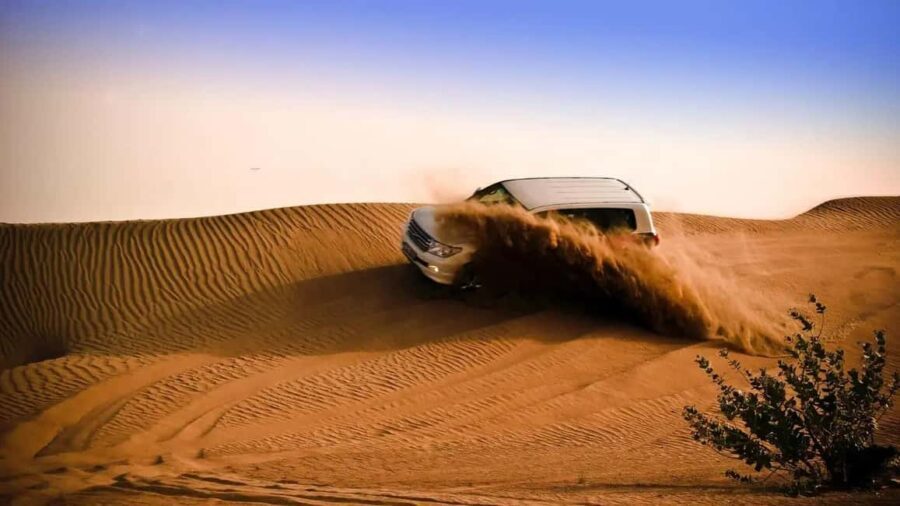 Doha Desert Excursion, Camel Ride, Inland sea, Sandboarding - Meeting at the museum parking, then into the desert