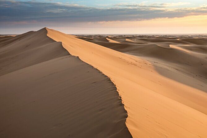 Doha Desert Quad Bike adventure with group, and Sand dune Driving - From Metro to Desert: the best kind of easy logistics