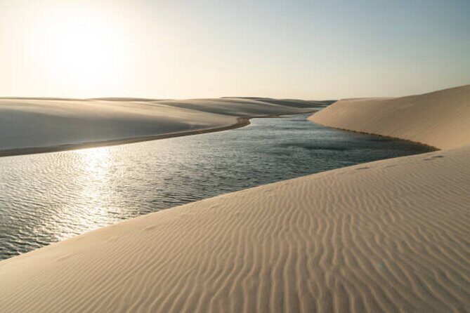 Doha Desert Quad Bike adventure with group, and Sand dune Driving - Camel ride: the cultural touch, priced as an add-on