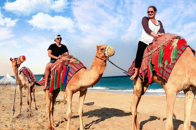 Doha Desert Safari Camel Ride, Sandboarding and Inland Sea - Camel ride across the dunes: what to expect and how to make it count