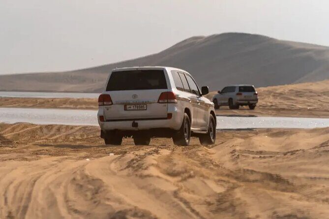 Doha Desert Safari Dune Bashing Camel Ride - Camel ride, falcon photos, and karak tea at the camp