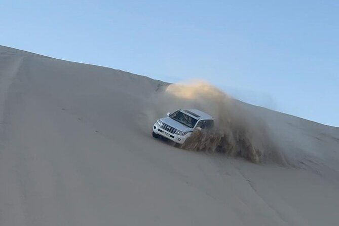 Doha Desert Safari Dune Bashing Camel Ride - Guide energy makes the difference: Abu Hamad, Bu Hamed, Saif, Hamad, Mudasir