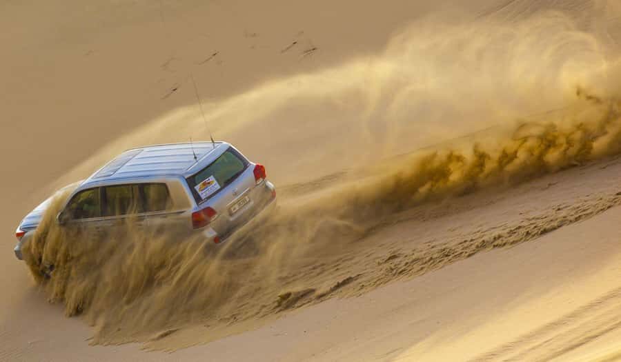 DOHA: Desert safari +Dune Bashing, Camel ride & Quad bikes - Sealine Beach Stops: Bedouin Tea, Camel Ride, and Falcon Photos
