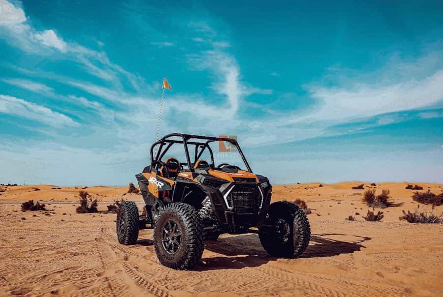 Doha: Desert Safari Experience – Quad Bike, Buggy/Camel Ride - A half-day desert hit from Doha, with real variety