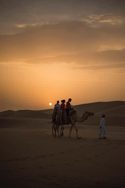 Doha: Desert Safari, Sandboarding, Camel Ride and Inland Sea - Inland Sea dune bashing: the part you should plan around