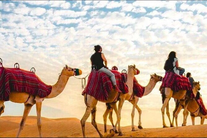 "Doha Desert : Safari, Sandboarding, Camel Ride & Inland Sea" - Camel Ride + Tea: The Quiet Portion That Makes the Thrill Feel Worth It