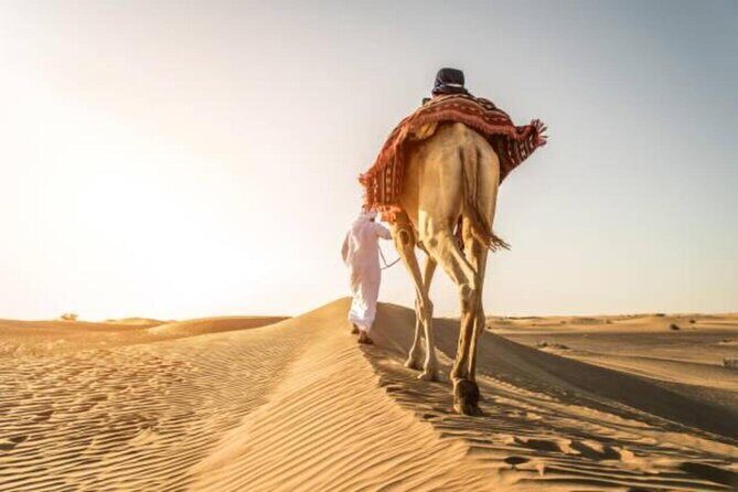 "Doha Desert : Safari, Sandboarding, Camel Ride & Inland Sea" - Driver and Guide Quality: What the Names Suggest About Service