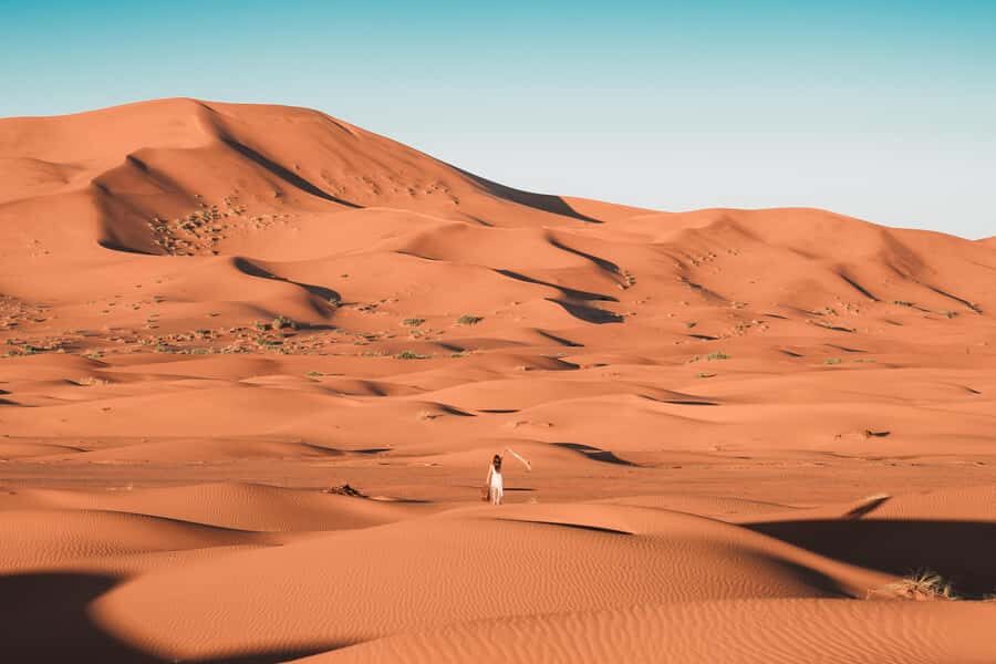 Doha: Desert Safari, Sandboarding, Dune Bashing & Inland Sea - Price and value: why $22 can still make sense
