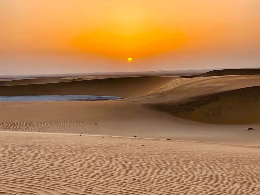 Doha: Desert Safari Sunrise Tour/Sunset Tour - Key highlights you’ll feel right away