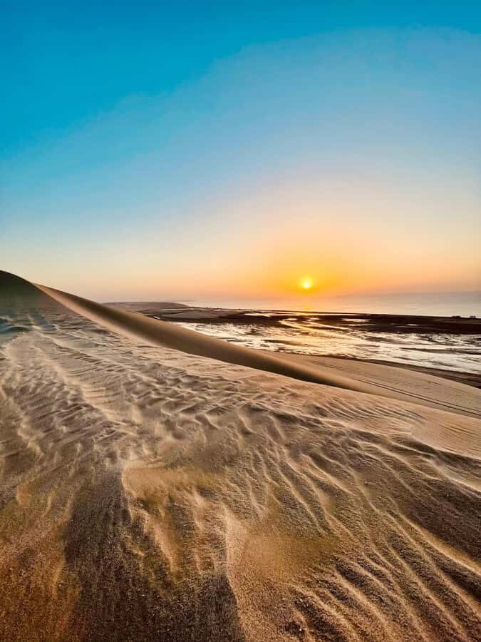 Doha: Desert Safari Sunrise Tour/Sunset Tour - Camel ride and Mesaieed photo stop: short, scenic, and worth it