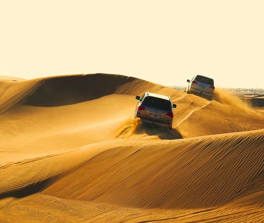 "Doha Desert Safari with all activities" - The Big Moment: 40 Minutes of 4x4 Dune Bashing