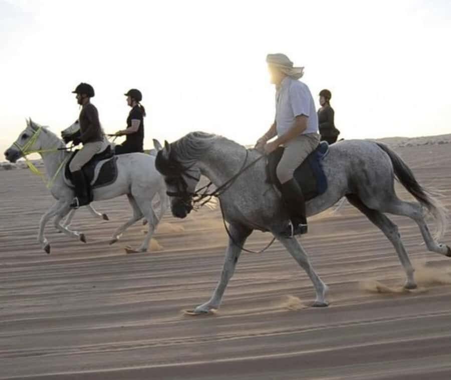 Doha: Desert Safari with Camel Ride and Quad Bike and Buggy - The Desert Core: Dune Bashing and Sand Boarding