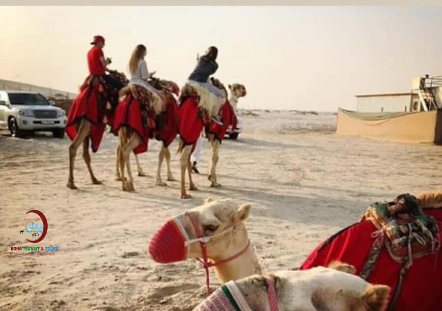 Doha: Desert Safari with Dune Bashing and Inland Sea - H2: Sandboarding time that actually lets you try it