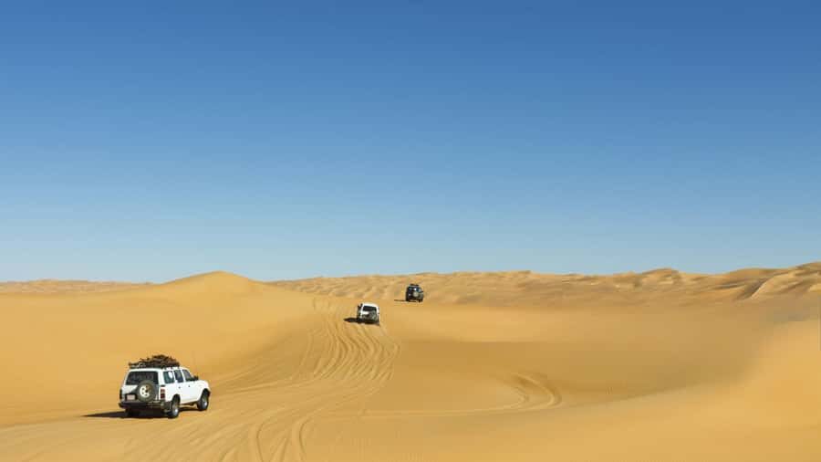 Doha: Desert Safari with Dune Bashing and Inland Sea - H2: Who this safari suits (and who should skip)