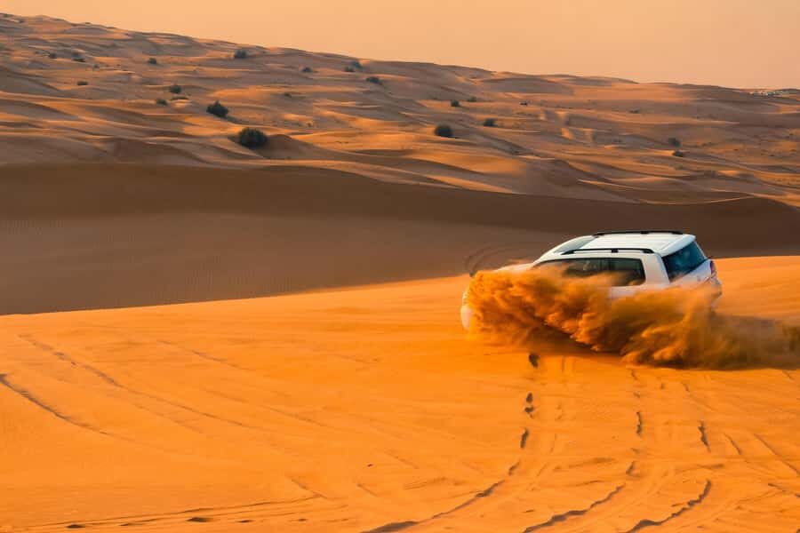 Doha: Desert Safari with Quad Bike, Sandboard & Camel Ride - Camels, falcons, and a short camel ride