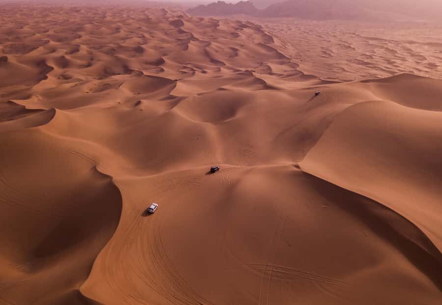 Doha: Desert Safari with Quad Bike, Sandboard & Camel Ride - Who should book this safari, and who should skip it
