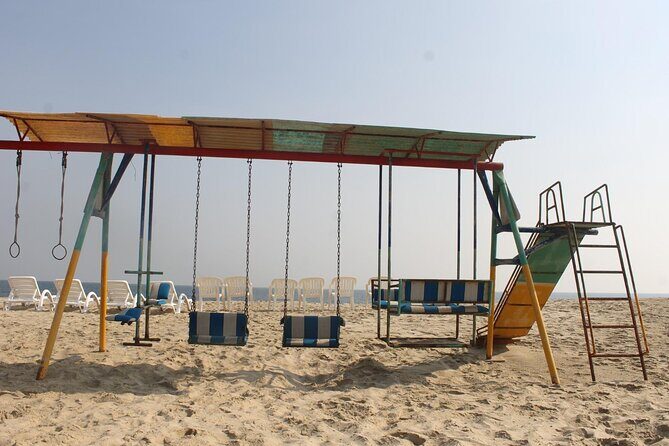 Doha : Full Day Desert Safari | BBQ Dinner | Inland sea - Camels at Sealine Beach: included? not quite, but worth planning